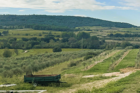 Montpellier:Journée Huile d&#039;Olive, Vin, St Guilhem le Désert