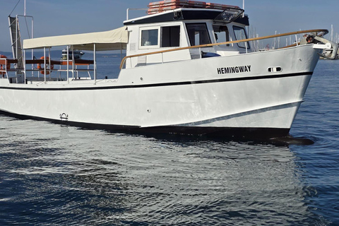 Passeio panorâmico de barco em Split com cerveja, vinho, sumos e mergulhoPasseio panorâmico dividido de barco com cerveja, vinho, sumos e mergulho