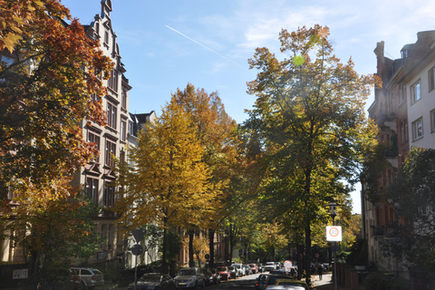 Paths of Faith: A Journey Through the History of Churches in Kassel Paths of Faith: A Journey Through the History of the Church in Kassel