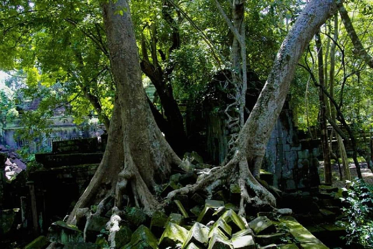 Siem Reap: Całodniowa wycieczka do świątyni Angkor Wat z zachodem słońcaWspólna wycieczka