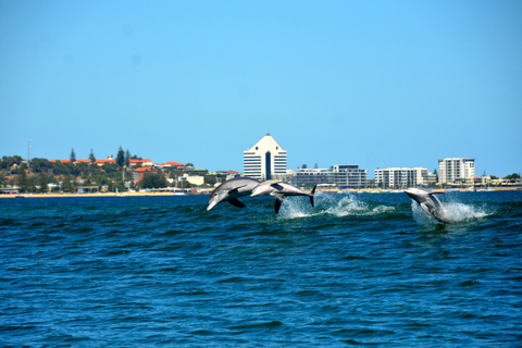 Koombana Bay: Dolphin Eco Cruise