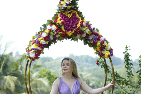 乌布猴林、梯田、秋千、寺庙和瀑布乌布猴林、水稻梯田、秋千、寺庙和瀑布