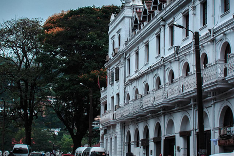 Ella To Kandy Private Transfer With Train Ride Experience