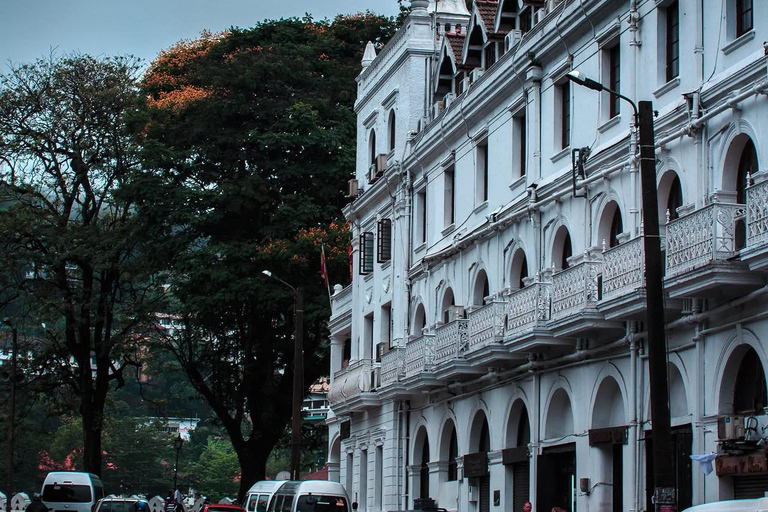 Ella To Kandy Private Transfer With Train Ride Experience
