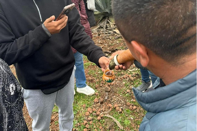 Quetzalapan + Chignahuapan: visit the sphere factory and its surroundings