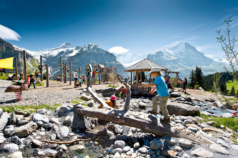 Tour privato guidato a Grindelwald prima di tutto da Zurigo