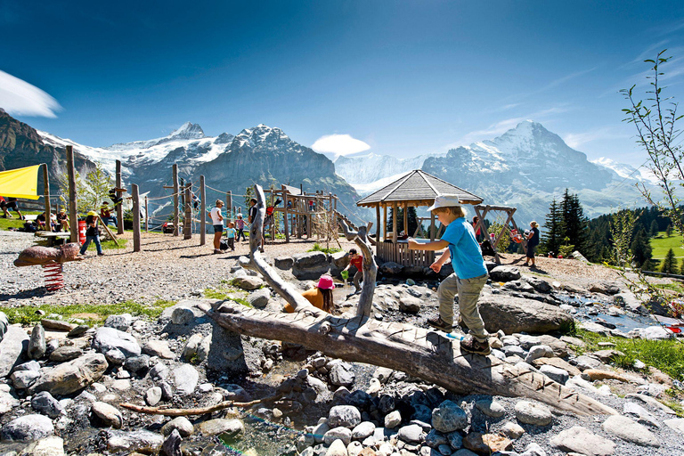 Private Guided Tour to Grindelwald First from Zurich