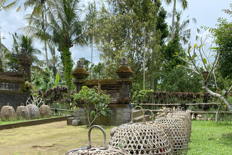 Ubud : PRIVATE Bike Tour inside Rice Field Ubud Countryside Sharing Group