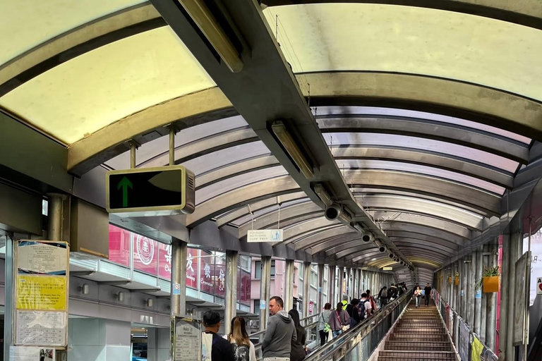 From Shenzhen: Hong Kong Heritage, Skyline & Harbour View Guide for other languages