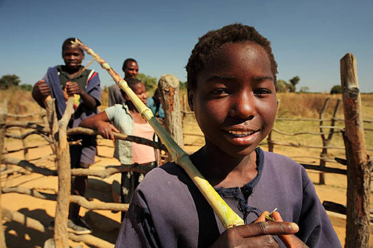 Livingstone: Victoria Falls, Mukuni Village, & Museum Tour