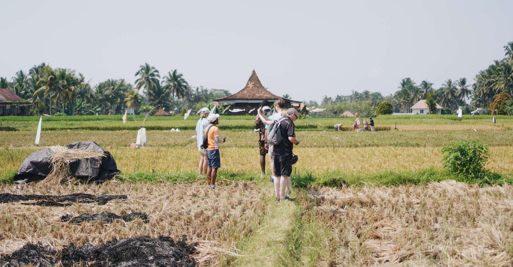 Ubud, Rice Terraces & Villages Half-Day Fat Tire E-Bike Tour - Housity