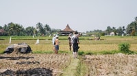 Ubud, Rice Terrass & Villages Half-Day Fat Tire Tour E-Bike - Housity