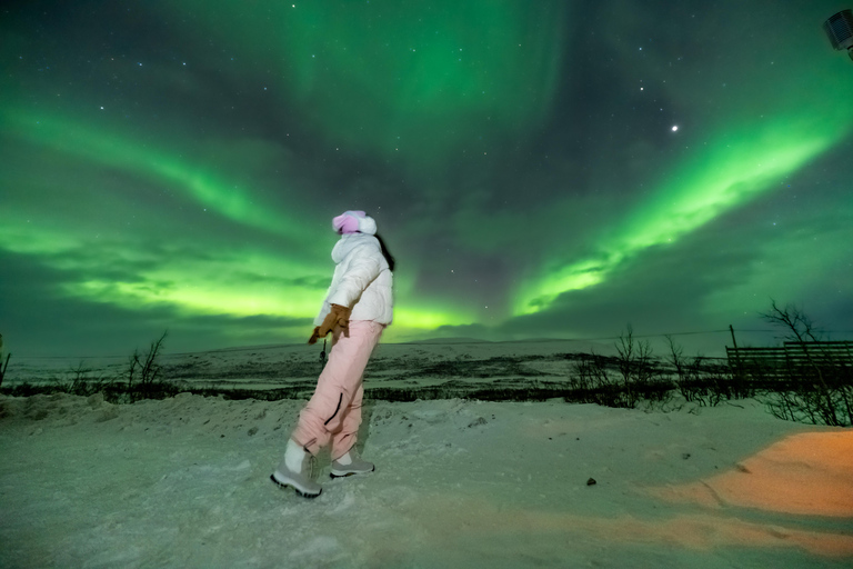 Tromsø: Northern Lights Tour (Max 8) Pickup + Finland