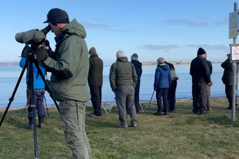 Da Inverness: tour della Black Isle con avvistamento dei delfini