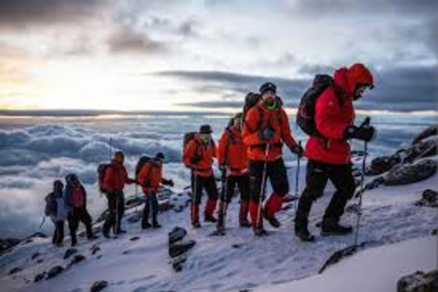 Kilimanjaro: trekking di 8 giorni lungo il percorso Marangu con pernottamento in rifugioKilimanjaro: 8 giorni di trekking sul percorso Marangu con pernottamento in rifugio