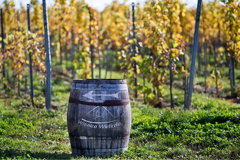 Krakow: Privat tur till lavendelfält och vinprovningKraków: Privat tur till lavendelfält och vinprovning