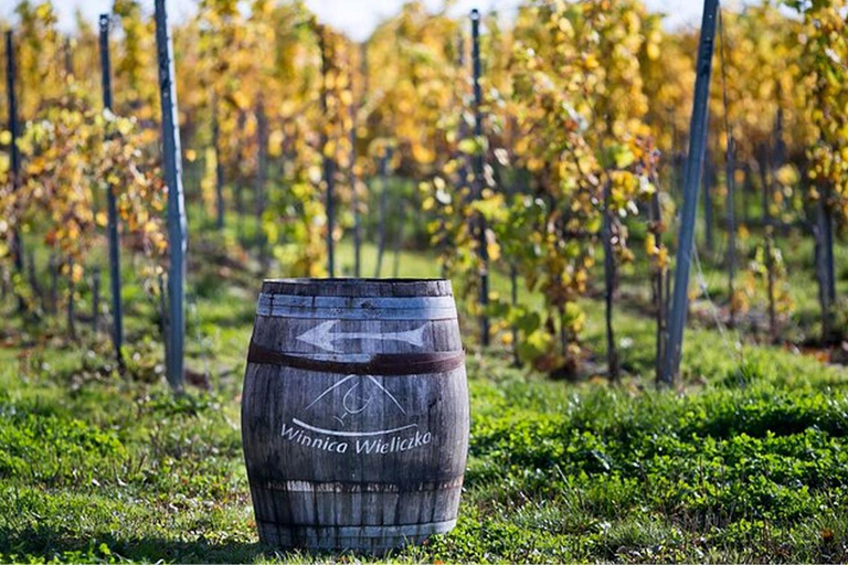 Krakow: Privat tur till lavendelfält och vinprovningKraków: Privat tur till lavendelfält och vinprovning