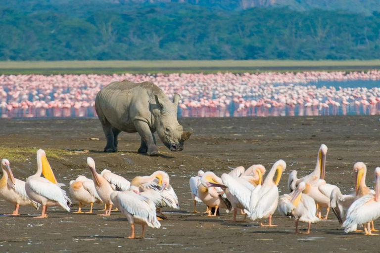 Nairobi Excursión de un día al Parque Nacional del Lago Nakuru