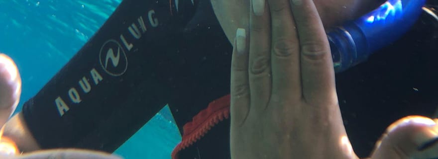 Ténérife : excursion guidée de snorkeling à Alcalá