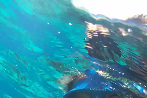 Tenerife : Alcalá visite guidée de plongée en apnée