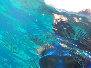 Tenerife: Alcalá Guided Snorkeling Tour
