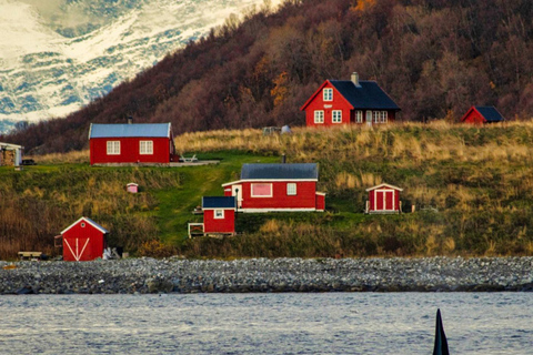 Tromsø: Orca and Whale Watching Heated Boat Trip Tromsø: Orca and Whale Watching comfort heated boat Trip