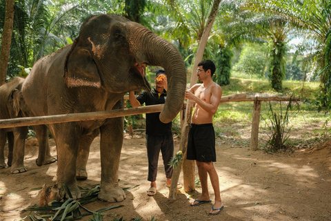 Krabi: Utfodring och fotografering med elefanter