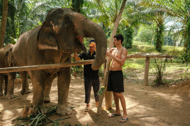 Krabi : Nourrir les éléphants et les photographier