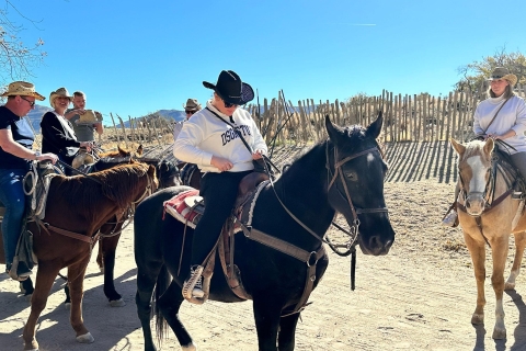 Las Vegas: paseo a caballo por el bosque Joshua Tree con almuerzo