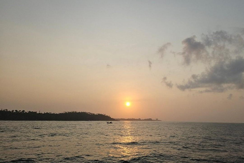 Mirissa: Whale & Dolphin Watching Boat Tour with Pickup Include Government Tax Fee