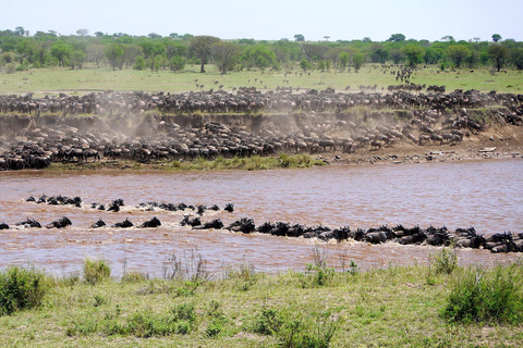 Serengeti: safari di 5 giorni attraverso il fiume Mara