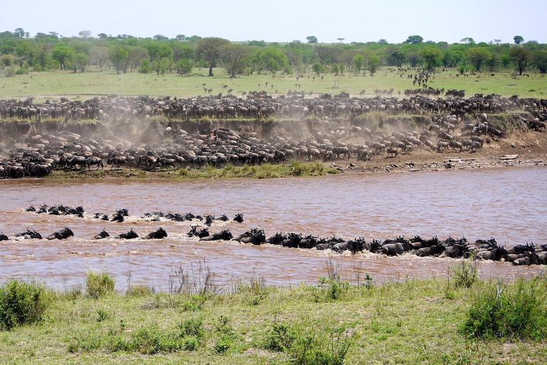 Serengeti: 5-dagars safari över Mara River Crossing