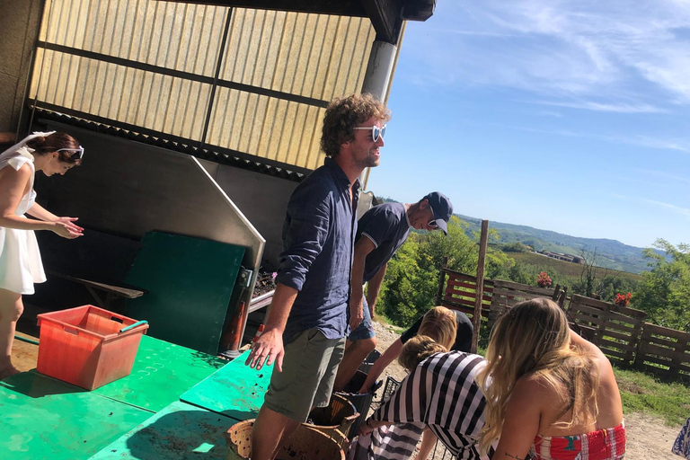 Spring Time Vineyards Milan’s Perfect Wine Tasting & Lunch