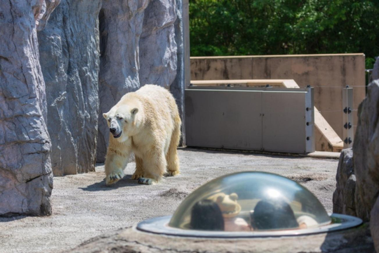 Sapporo: Asahiyama Zoo and Blue Pond Day Trip