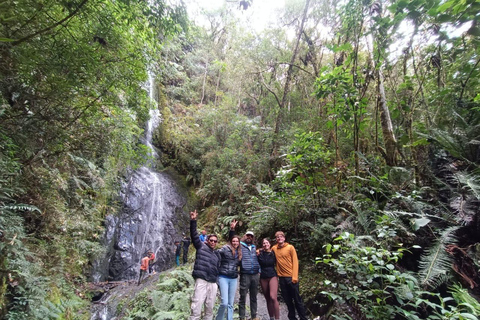 Da Cusco: 5 giorni di esplorazione e connessione nella Zona Riservata del ManuDa Cusco: 5 giorni di esplorazione e connessione nella Zona Riservata di Manu