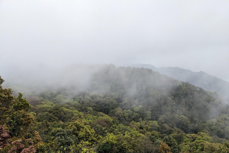 Full-Day Bach Ma National Park Trekking Tour with Lunch Shared Tour: From Hue City Center