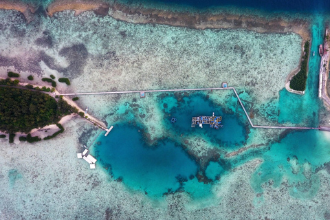 From Jakarta: Tidung Island 2-Day Snorkeling Tour Muara Angke Ferry Transfer (Budget Option)