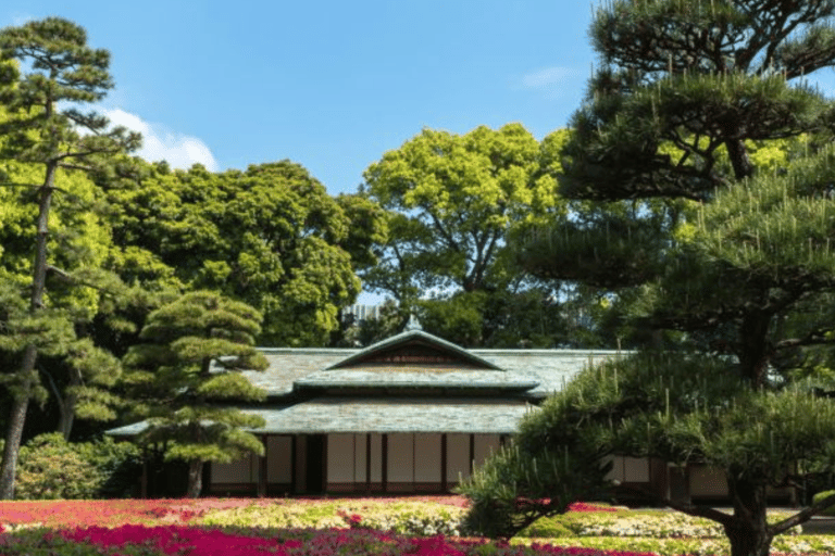 Tokio: Prywatna wycieczka po mieście Tokio w luksusowym transporcieTokio: Wycieczka prywatna po mieście Tokio w luksusowym transporcie