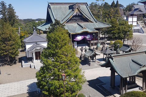 NARITA: Wycieczka piesza, ulica Omotesando, świątynia Narita-san