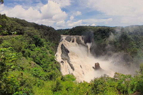 Cairns: Wasserfall, Feuchtgebiete und Skyrail