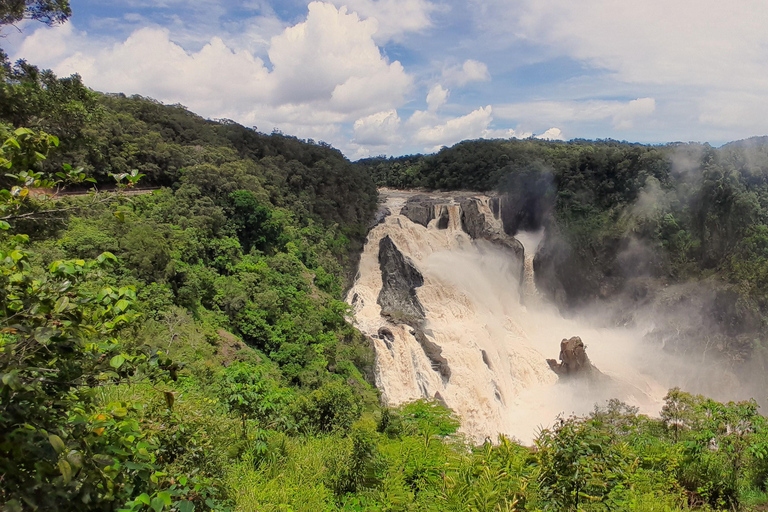 Cairns: Waterval, wetlands en Skyrail