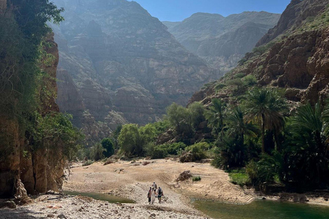 From Muscat: 3-Day Nizwa, Desert, Turtle, Wadi Shab