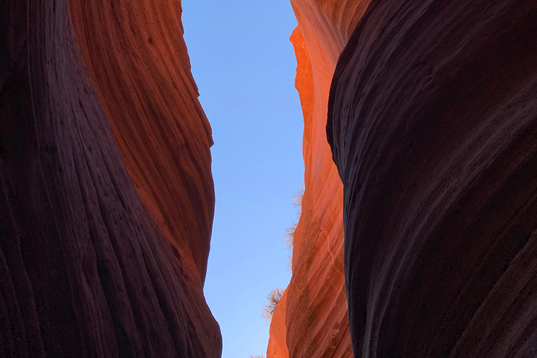 From Kanab: 3-Hour Peek-a-Boo Slot Canyon Hiking/Photo Tour