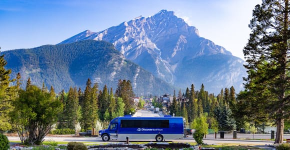 Banff: Wildlife and Sightseeing Minibus Tour