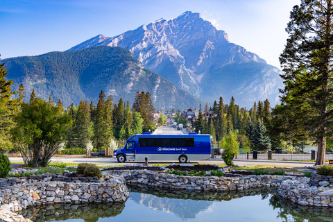 Banff: Wildlife and Sightseeing Minibus TourSummer Tour