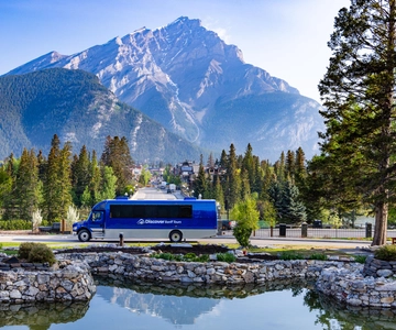 Banff: Wildlife and Sightseeing Minibus Tour