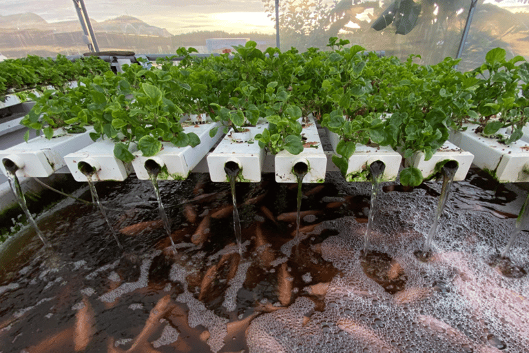 بينانج: جولة مزرعة قرية الفانيليا بواسطة كايروس