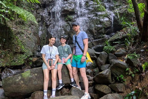 4 Hour Sinharaja Rainforest Tour