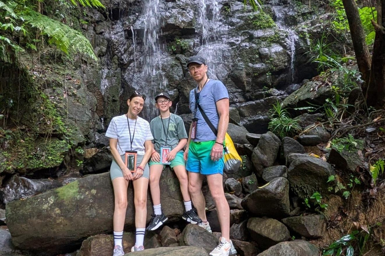 4 Hour Sinharaja Rainforest Tour