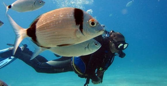 Oludeniz: Half-Day Scuba Diving Program